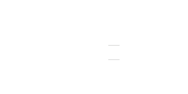 Nintendo DS